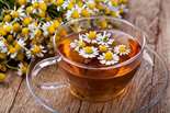 مصرف دمنوش بابونه راهی برای مدیریت استرس در شرایط بحرانی