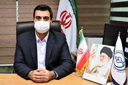عرضه تولید آزمایشی نان کامل با آرد یارانه ‌ای در شیراز، برای نخستین بار در کشور