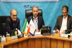 بهسازی محیط، مهمترین راه جلوگیری از استقرار پشه آئدس ‌است