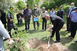 آیین درختکاری و تقدیر از خانواده های باشکوه دارای 3 فرزند و بیشتر برگزار شد
