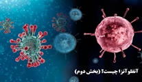 آنفلوآنزا چیست؟ /بخش 2
