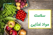 چگونه سلامت غذایی را در سفرهای نوروزی، حفظ کنیم؟